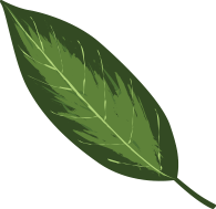 Yugen Holistic Services